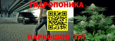 mdpv Гатчина