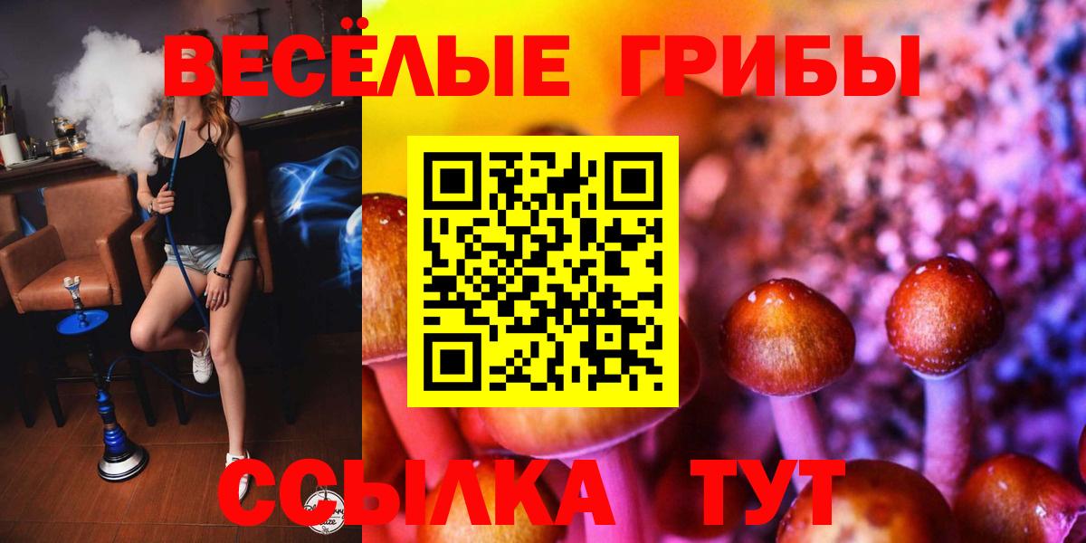 Псилоцибиновые грибы Cubensis Великий Новгород